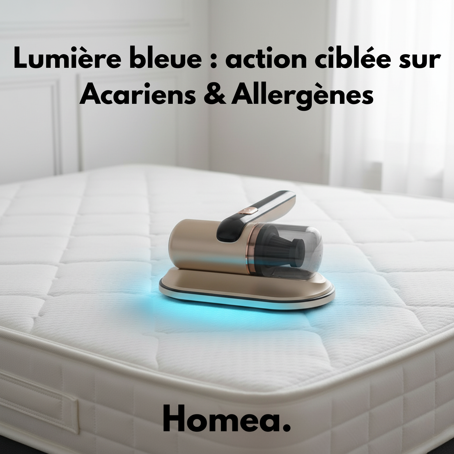 Aspirateur Homea CleanPet – Poils de chien, animaux et acariens