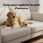 Aspirateur Homea CleanPet – Poils de chien, animaux et acariens