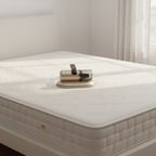 Aspirateur Homea CleanPet – Poils de chien, animaux et acariens